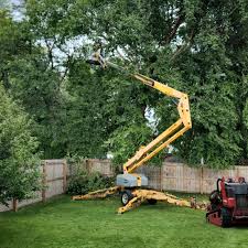 Reliable Kincheloe, MI Tree Services Solutions